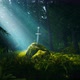 Excalibur sword In A Fantasy Forest 4K - VideoHive Item for Sale