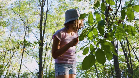 Naturalist Kid is Studying Nature of Forest with Magnifying Glasses and Take Notes in His Notebook alt