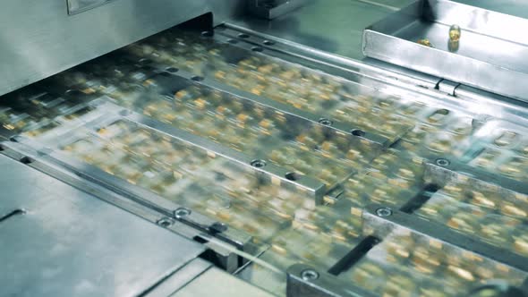 Blisters with Fish Oil Capsules are Moving Along the Factory Conveyor alt