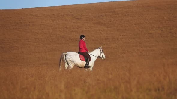 Woman Riding a Horse Strokes and Hugs a in the Field alt