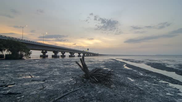 Timelapse sunset at tree root of mangrove near sea coastal. alt