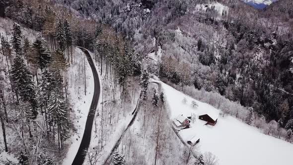 Drone flies straight next to a road which goes through a forest in Switzerland. Next to the road is alt
