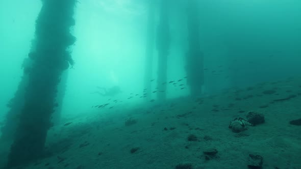 A Scuba Diver Swimming Underside the Pier Near Pylons in the Sea Bed alt