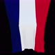 The piece of cloth falls with the flag of the State of France to cover the product - VideoHive Item for Sale