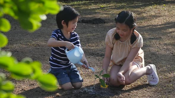 Asian Sibling Watering Young Tree On Summer Day alt