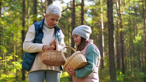 Grandmother and Granddaughter Picking Mushrooms alt