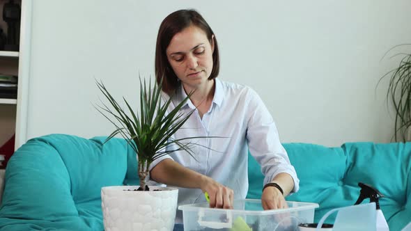 Young Woman Transplants Domestic Flower Into New Pot at Home