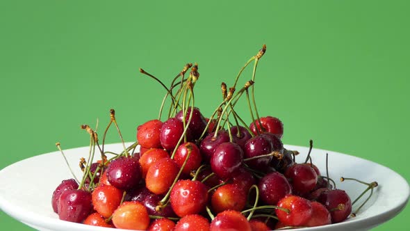 Red Cherries in Water Drops on a Green Background alt