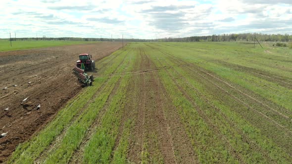 Modern Energy-intensive Tractor with a Reversible Plow Processes the Fertile Soil of Farmland in alt