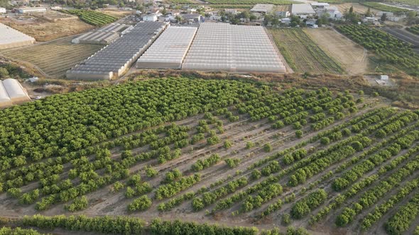 Aerial View Of Shuva Village Fruits Fields At Southern District Sdot Negev, Israel alt