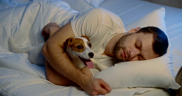 a Man Sleeps on His Side in a Bed with White Linen in an Embrace with His Dog. the Pet Stuck Out Its alt