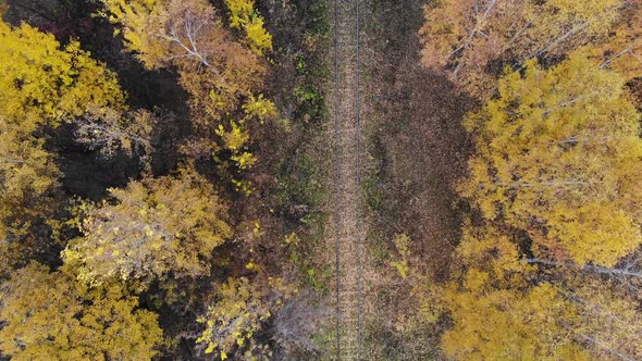 Flying Over the Railway That Passes Through the Forest. Autumn. Aerial View alt