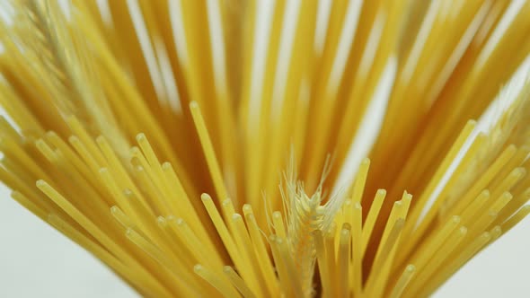 Bunch of Uncooked Spaghetti and Wheat alt