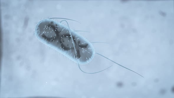 3D Realistic render of a bacterium