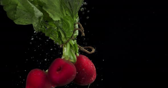 A Bundle of Radishes Falls Under Water with Air Bubbles.  alt