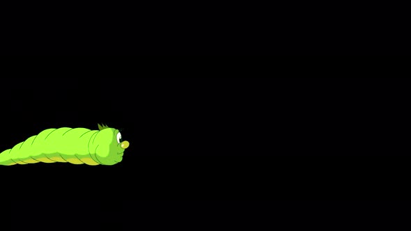 Green Caterpillar crawling 4K alpha matte alt