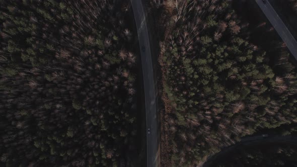 Curve of highway road between deep forest