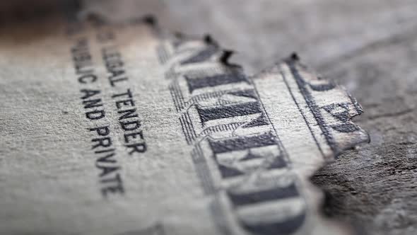 Burned Dollar  banknote