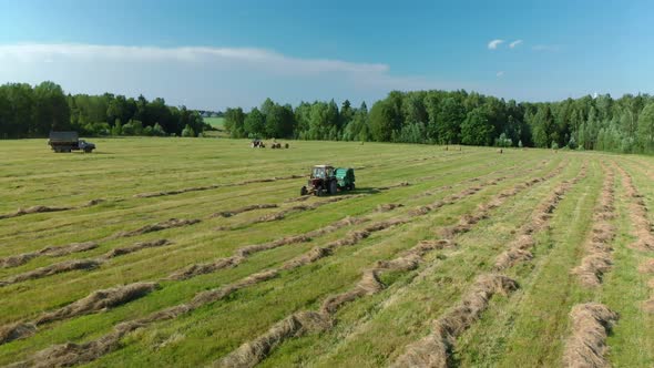 Agricultural Machinery Collects Dry Straw in Rolls and Round Large Bales
