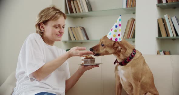 Young Family with Their Pets Dog Celebrate Birthday Party at Home ...