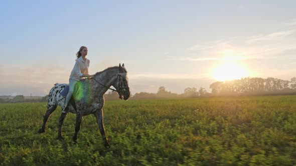 Super Slow Motion of Young Girl Riding on a Horse on the Meadow During Sunset alt