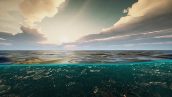 Underwater View with Horizon and Water Surface Split By Waterline alt