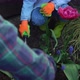 Preschool Pretty Little Girl Kid Daughter Wear Works Gloves Humic Boots Preparing Soil to Plant 