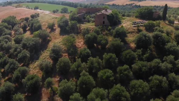 Aerial View Of The Tuscany Hill