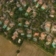 Beautiful Houses With Swimming Pools Surrounded By Vineyards - VideoHive Item for Sale