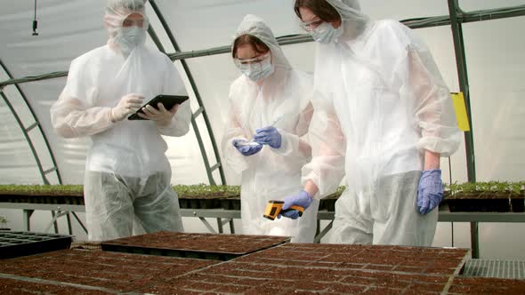 Farmers Planting Seeds in Greenhouse