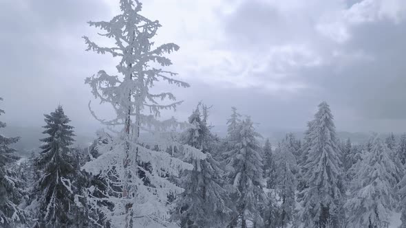 Aerial View of a Fabulous Winter Mountain Landscape Closeup During Snowfall alt