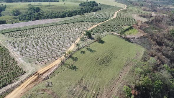 Rural landscape aerial view. Nature scenery alt