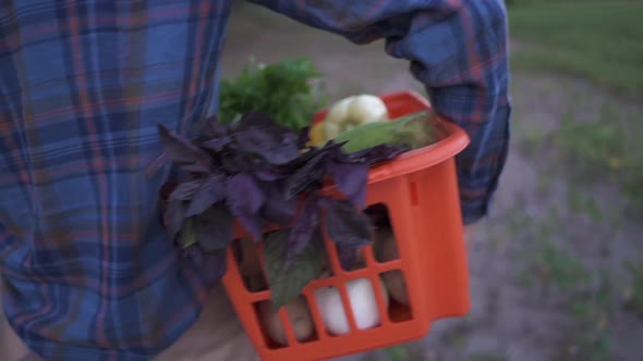 Farmer Holding a Basket of Freshly Picked Organic Vegetables