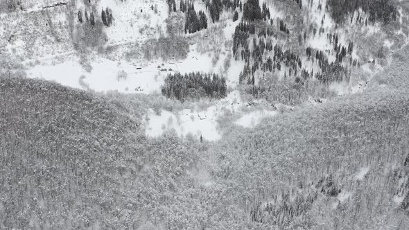 Aerial View of a Frozen Forest with Snow Covered Trees at Winter During Foggy Journey alt
