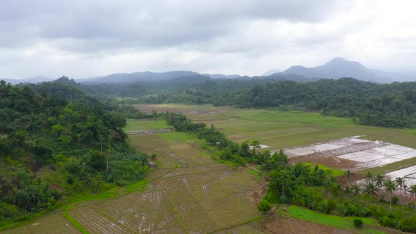 Tropical Landscape with Farmland and Green Hills, Aerial View alt