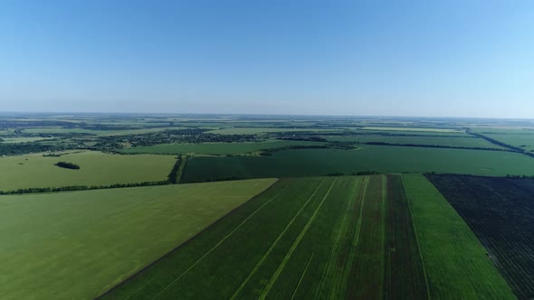 Top View of Beautiful Green Fields Russia