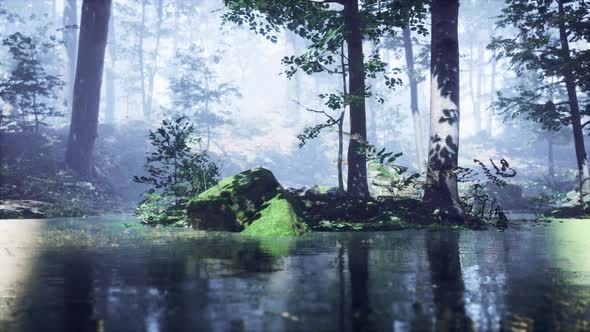 Mist on Pond in Forest with Fog alt