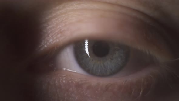 Macro close-up man’s grey blue eye. Blinking eye, mowing eyeball, watching around. Eyelash, eyelid.