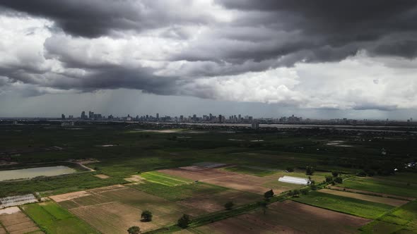 Aerial view of a rice field during rain season, Battambang, Cambodia. alt