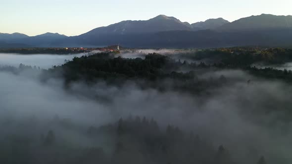 Forest Fog Landscape alt