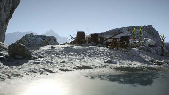 Wooden Barrels Sea Fish Sand Beach alt