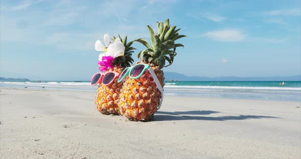 Tropical Beach Along the Coast Are on The Sand Tropical Fruits in Sunglasses alt