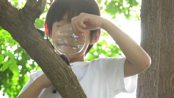Cute Asian Child Looking Through A Magnifying Glass At A Rhinoceros Beetle In The Forest  alt