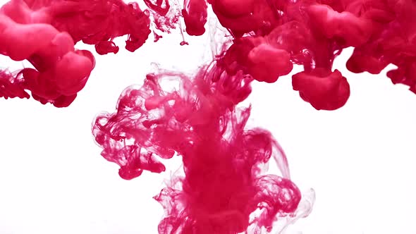 Swirling Flows of Fuchsia Paint