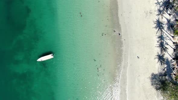 Virgin Unspoiled Caribbean Tropical White Sandy Beach