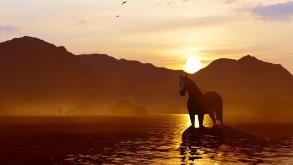 Wild Horse Watered in Mountainous Area at Sunset