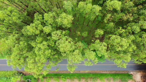 Farming landscape at countryside rural scenery. alt