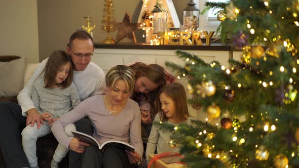 Family Reading Book at Christmas Tree