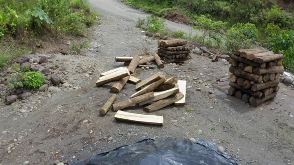 View of tropical hardwood cut in trunks and ready to be sold alt