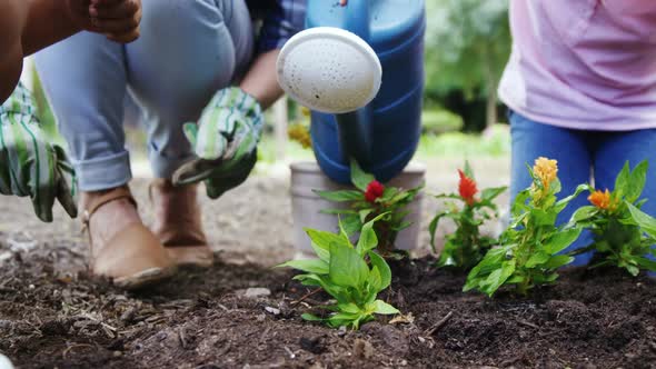 Mid-section of a family gardening together alt